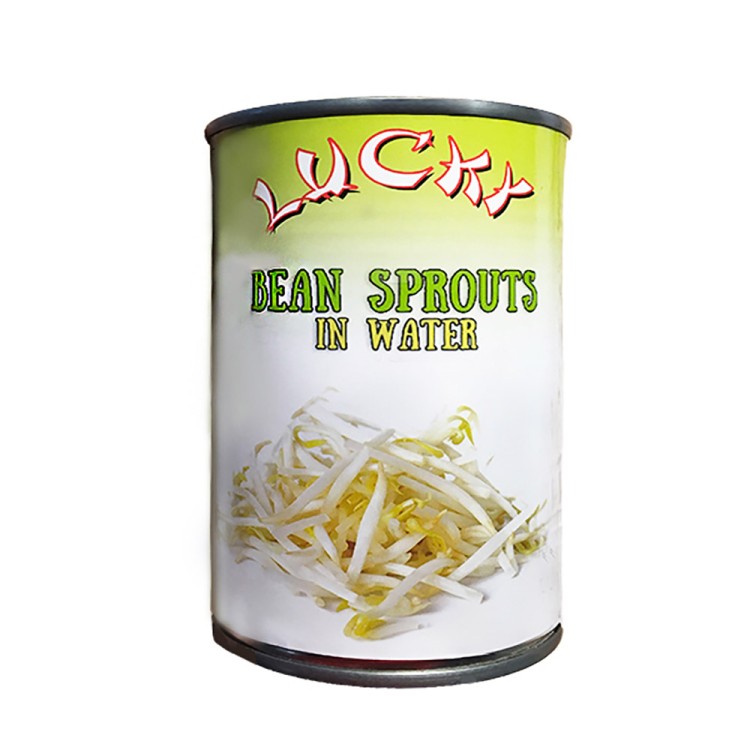 Canned Bamboo Sprouts 425g LUCKY