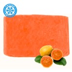 Πούλπα Γκουάβα 250g GOYA