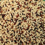 Κινόα Τρίχρωμη 500g MIKUNA