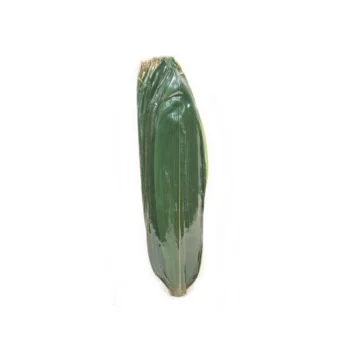 Φύλλα Μπαμπού L 28-33cm 100 Φύλλα