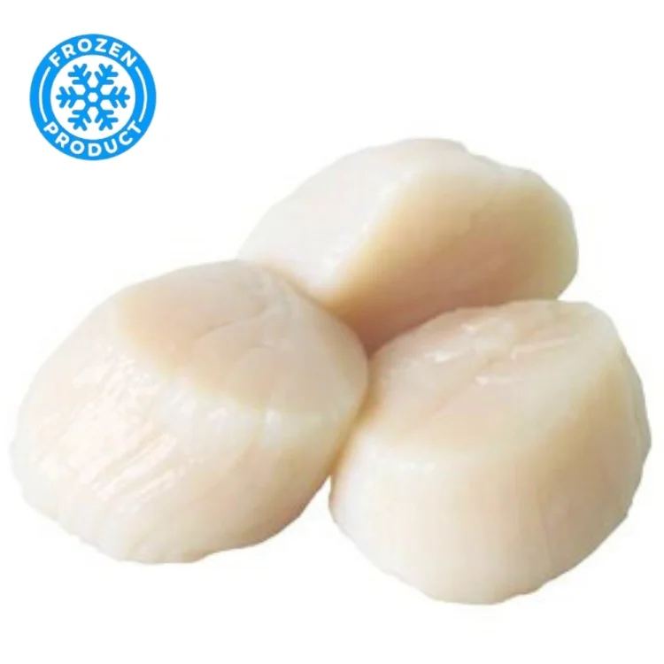Χτένια 10/20 Χωρίς Αυγό 900g ANDU