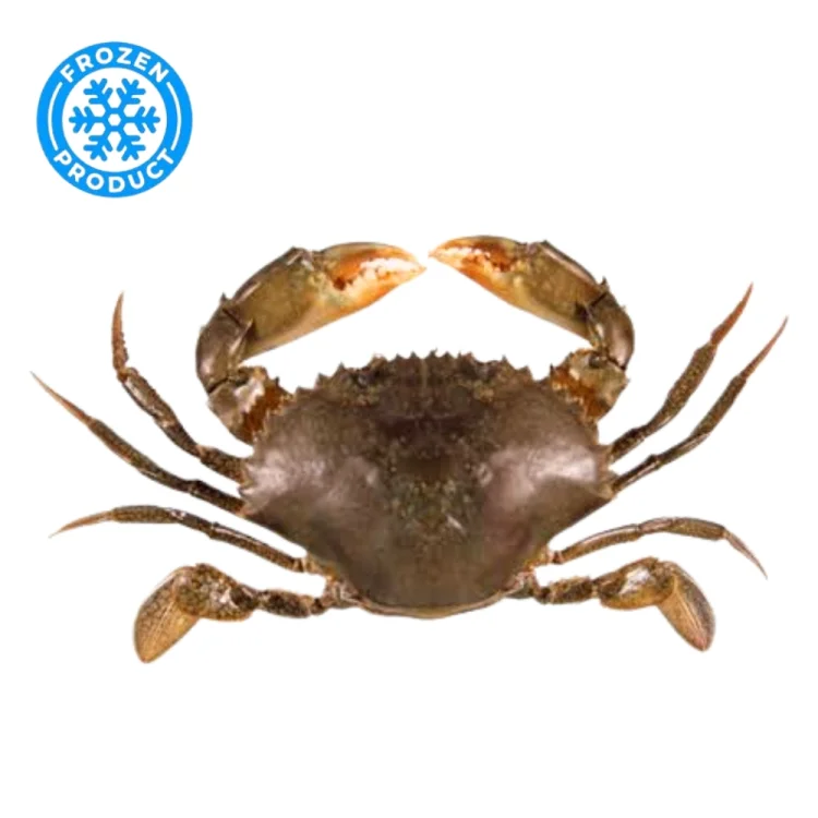 Seacon Sushi Soft Shell Crab Whole Cleaned