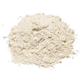 Garlic Powder 100g ALIBABA