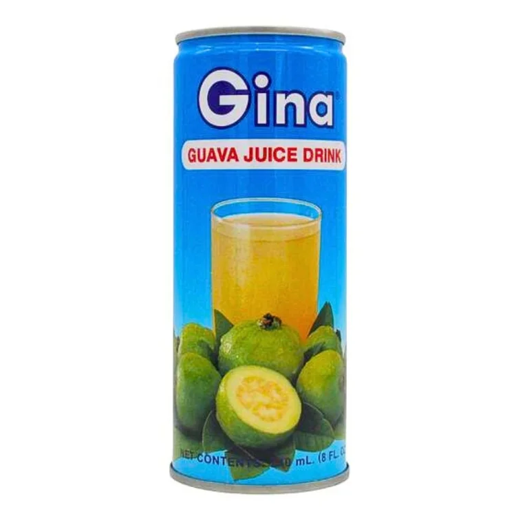 Guava Fruit Drink 250ml GINA